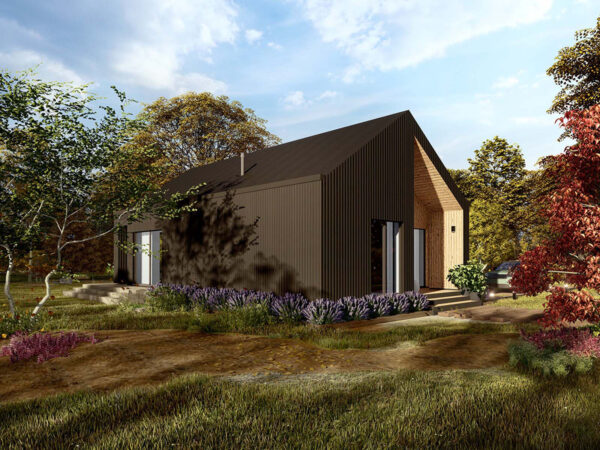 Dom szkieletowy parterowy Pieniński 02